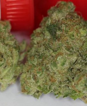 Buy AK Banana online | AK Banana for sale | AK Banana