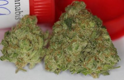 Buy AK Banana online | AK Banana for sale | AK Banana