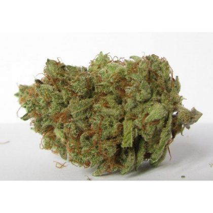 Buy Candyland marijuana online | Candyland marijuana for sale | Candyland marijuana