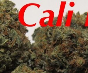 Buy Cali Kush online