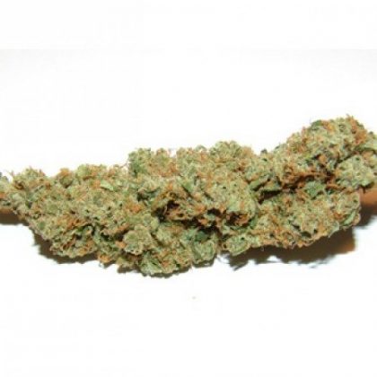 Buy Afghani Hawaiian online | Afghani Hawaiian for sale | Afghani Hawaii