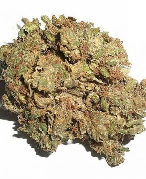 Afghan-Kush