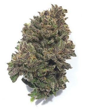 Alaskan-Thunder-Fuck