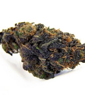 Buy Blackberry kush