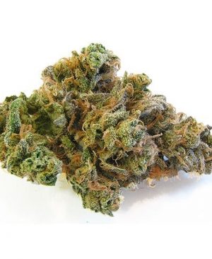Blue-Dream