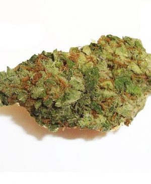 Blueberry