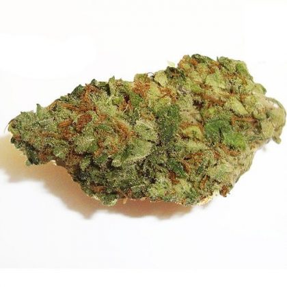 Blueberry