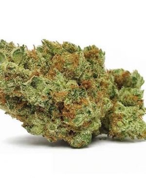 Bruce-Banner-number-3