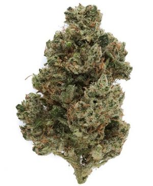 Ghost-Train-Haze