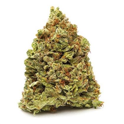 Gorilla-Glue-4