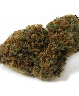 Hindu-Kush